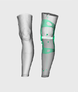 Knee brace modelization